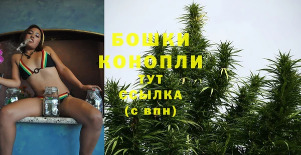 тгк Козловка
