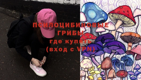 гашиш Козельск