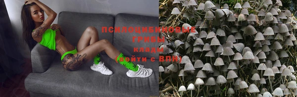 тгк Козловка