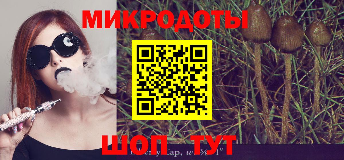 Галлюциногенные грибы мухоморы  Галлюциногенные грибы Magic Shrooms  Вологда  Вход с VPN 